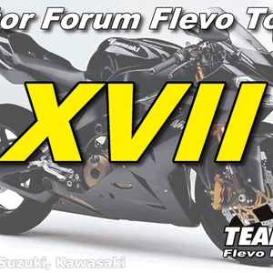 MFFlevo17.gif
