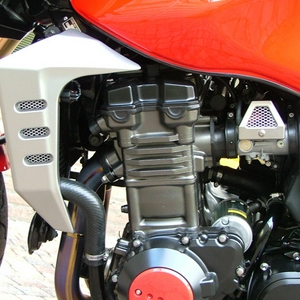 DSCF0009.jpg