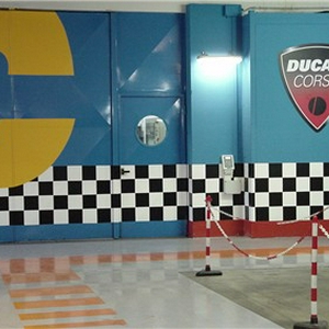 duc4.JPG