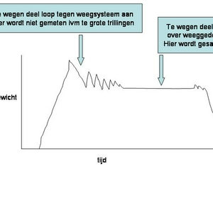 dynamic weighing.jpg