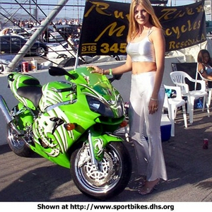 Kawi_chick.jpg.jpg
