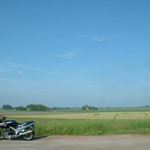 blauw.jpg