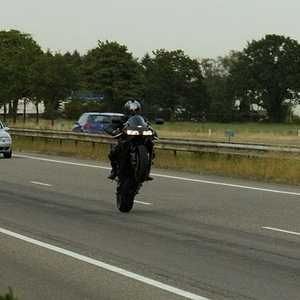D2H_8344.jpg