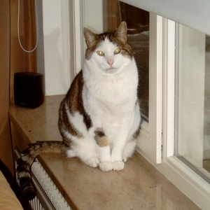 wiskie2.JPG