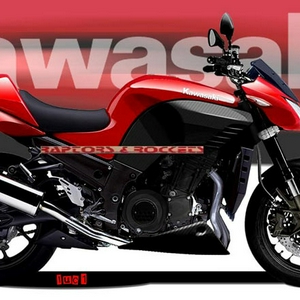 2007_Kawasaki_Z14002r.jpg