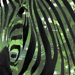 camouflage zebra.jpg