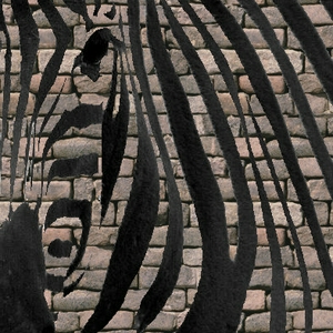 camouflage zebra 2.jpg