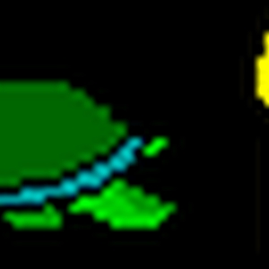 turtle.gif