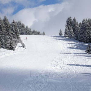 sneeuw2.jpg