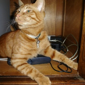 slapen op het modem....JPG