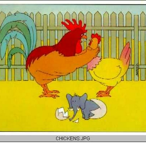 chicken.jpg