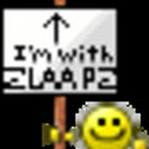 stupid zlaapz.gif