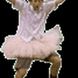 5a.gif