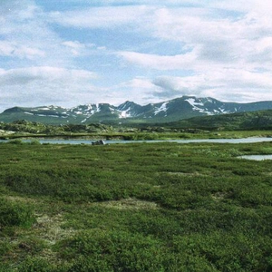 2004-04-10 19.jpg