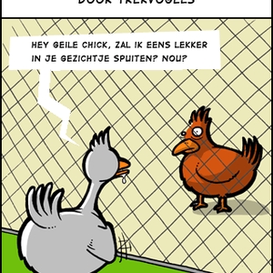 Vogelgriep.gif