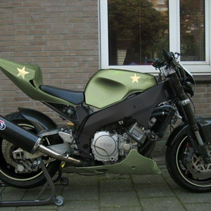 ySF-green copy2.jpg