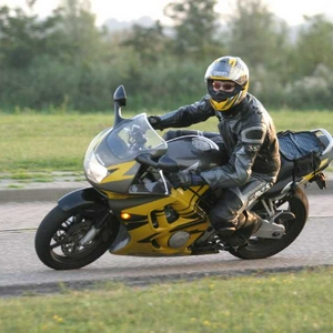 cbryellow9a.JPG