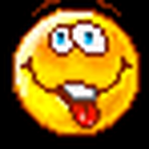 smile213.gif