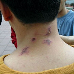 algerian1_20030603.jpg