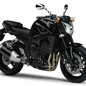 FZ1N.jpg