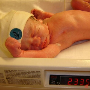 Lotte L.Thonda (Small).jpg
