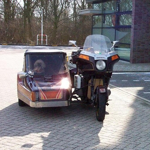 11.JPG