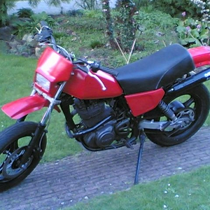 suzuki drklein.JPG