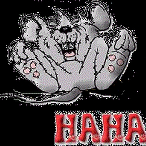 hahahaha.gif