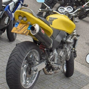 motorbackshotgun.jpg
