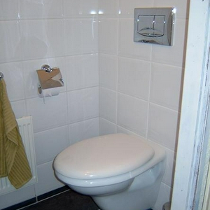 toilet 2.JPG