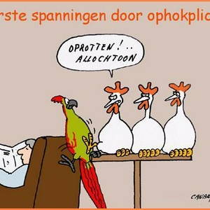 Spanningen_20ophokplicht.jpg