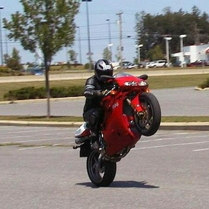 Ducati wheelie.jpg