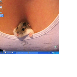 desktop.JPG