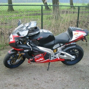 rsv1.jpg