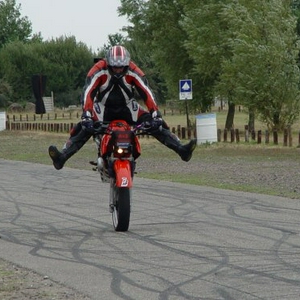 mf 17 aug (35)klein.jpg