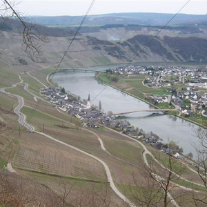 100_0974 (Medium).JPG