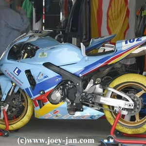 paddock (11) (Small).jpg