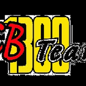 cb team.gif