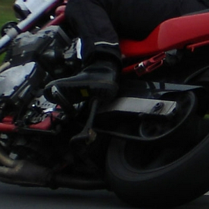 DSC00415.jpg
