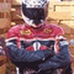 stier-dia.gif