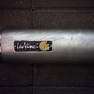 Schade LeoVinci.JPG