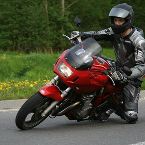bandit-2.JPG