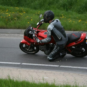 bandit-3.JPG