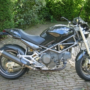 duc2.JPG