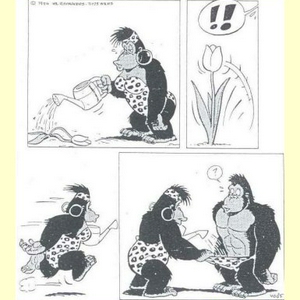 dierenleed.jpg