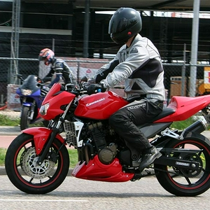 5181.jpg
