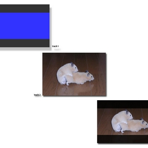 bluescreen_tutorial.jpg