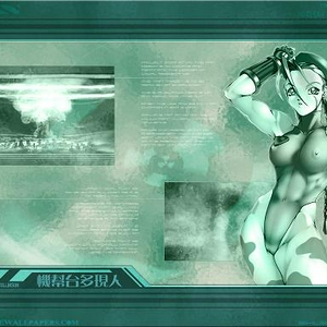 streetfighter_1_1024k.JPG