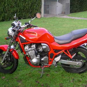 IMGP1737 (Small).JPG