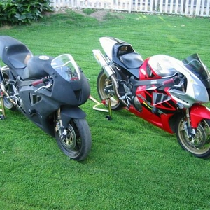 43296980.RC51012 (Small).jpg